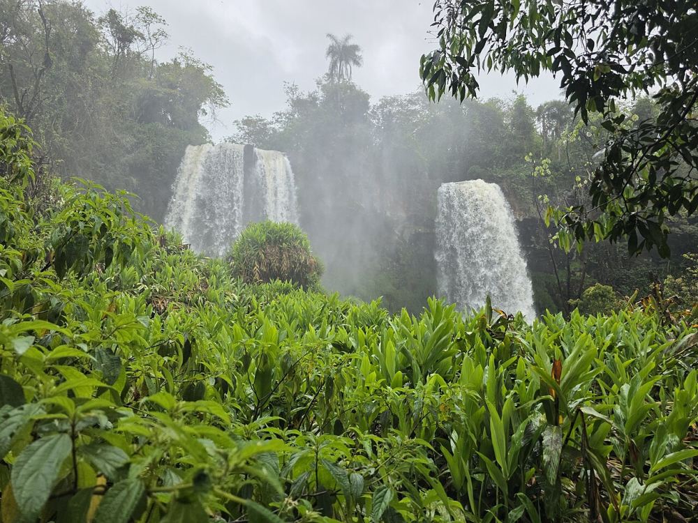 Mirador Salto Chico, waterfall in Iguazú